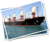 Container Logistics Consulting